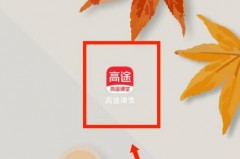 高途课堂怎么查看用户协议？高途课堂查看用户协议教程