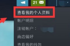 steam怎么隐藏个人游戏动态？steam隐藏个人游戏动态方法