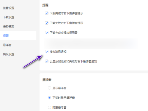迅雷11怎么不接收消息通知?迅雷11不接收消息通知教程截图